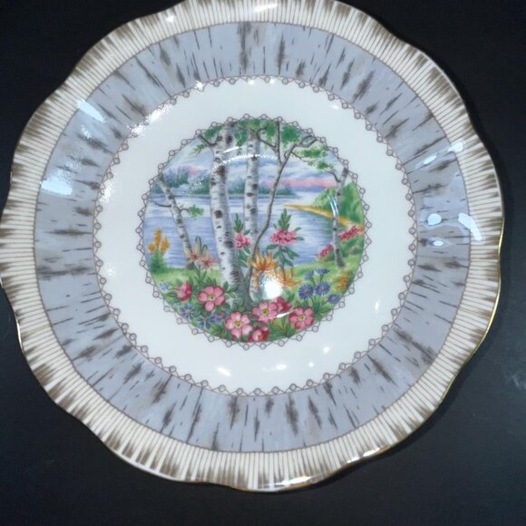 Royal Albert Silver Birch Tea Cup & Saucer Bone China Made in England - Picture 5 of 10